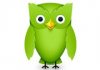 duolingo_owl