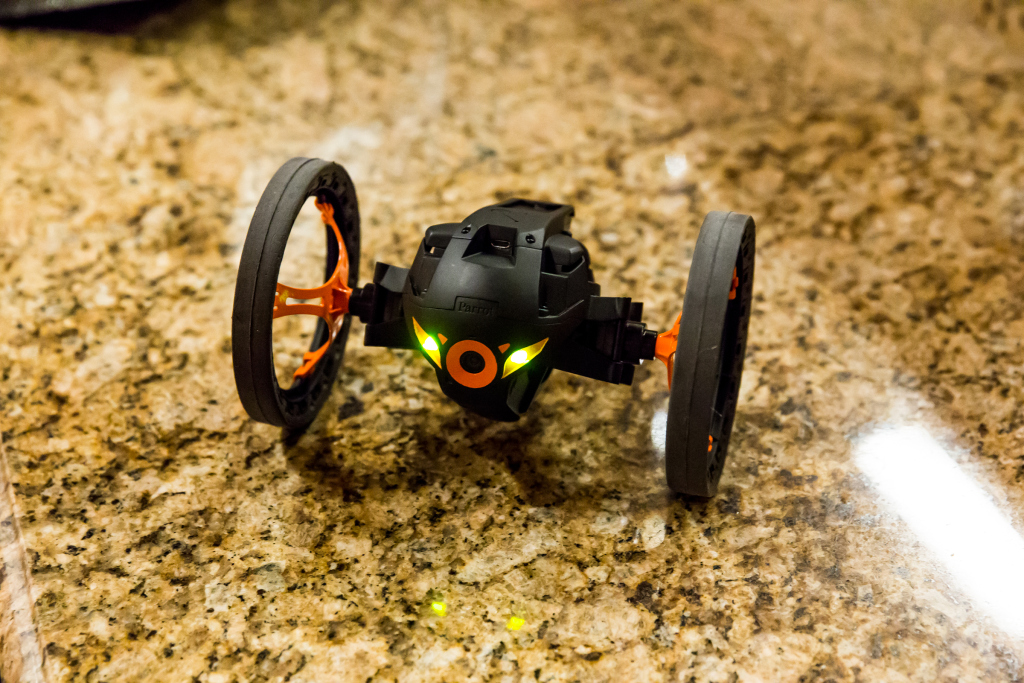 parrot-sumo