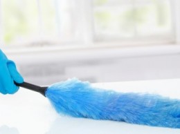 Image Duster-520x245.jpg Image Duster-520x245.jpg